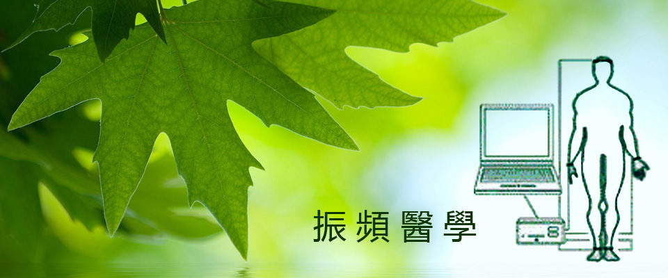 Web Top picture